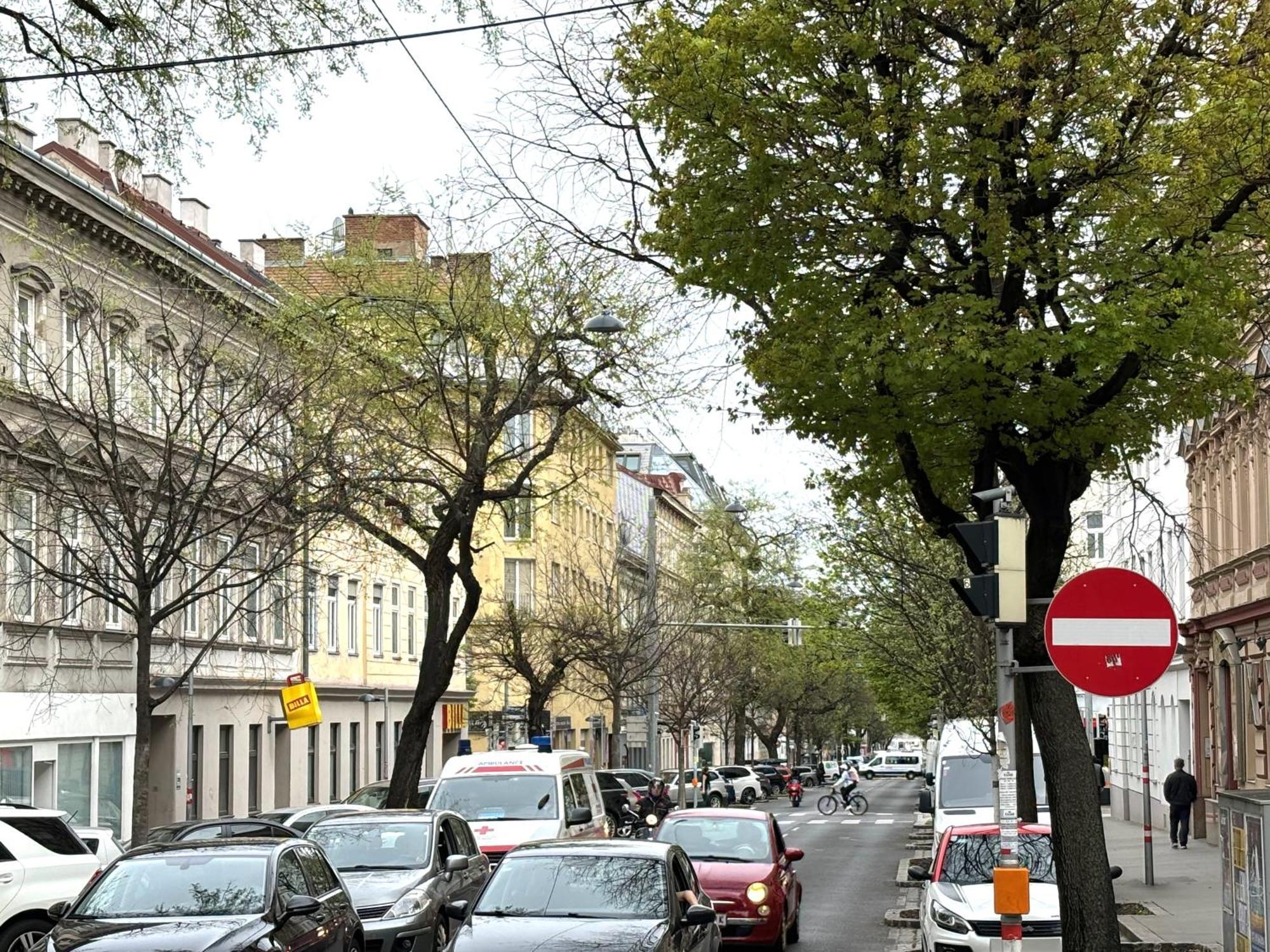 Traumhafte Wohnung Fuer 3, Grosszuegig, Walk In Dusche Wien Eksteriør billede